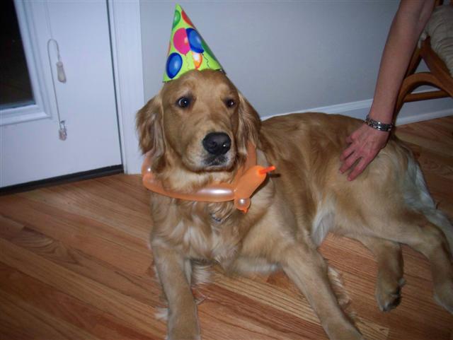 Bob enjoyed his birthday party!